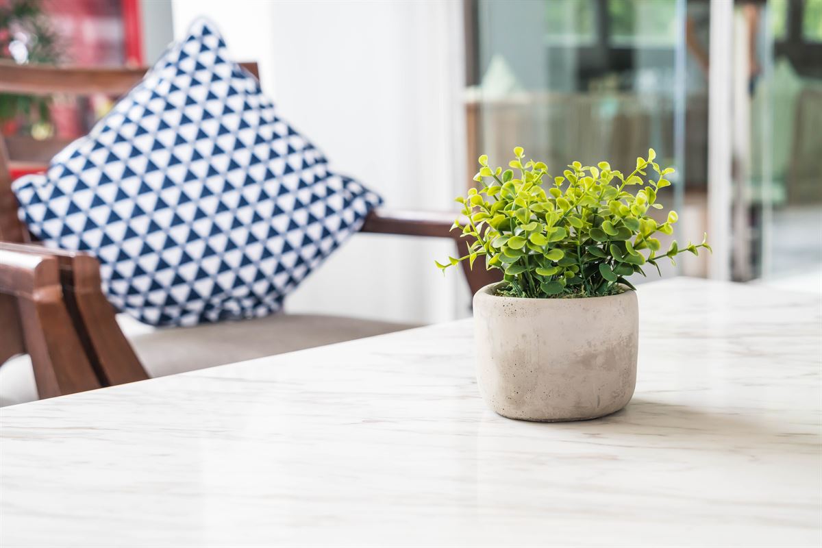 Tree pot decoration on table in living room